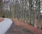 Een wandel- en fietsroute voert door het gebied de Hochter Bampd. (25-1-2009 - Jan Dolmans)