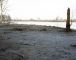 Modderbanken langs de oever na verlaging van het waterpeil. (3-3-2009 - Jan Dolmans)