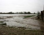 Hier zie je hoe dicht het water bij de boerderij staat.  (14-11-2010 - Jan Dolmans)