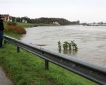 Kijken naar het snelstromende water is altijd boeiend. Deze foto is gemaakt in Smeermaas.  (14-11-2010 - Jan Dolmans)