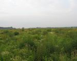 Natuurontwikkeling op een stukje onvergraven natuur. Op de achtergrond ligt Itteren. (1-6-2012 - Han Hamakers)