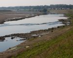 Bij een lage waterstand van de Maas liggen diverse grindbanken droog waardoor de Maas niet alleen voor de vogels maar ook voor de vele fietstoeristen langs de Maas interessant is.   (4-9-2012 - Jan Dolmans)